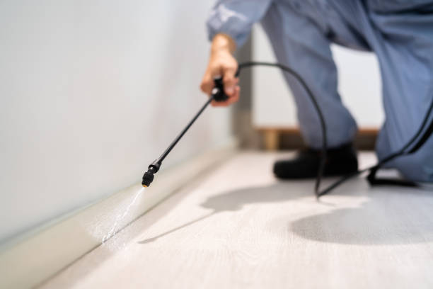 Best Pest Prevention Services  in Bon Secour, AL