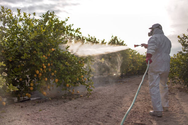 Best Residential Pest Control  in Bon Secour, AL