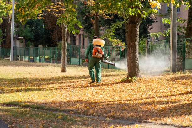Best Pest Inspection Near Me  in Bon Secour, AL