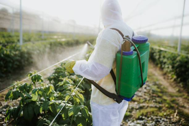 Best Affordable Pest Control Services  in Bon Secour, AL
